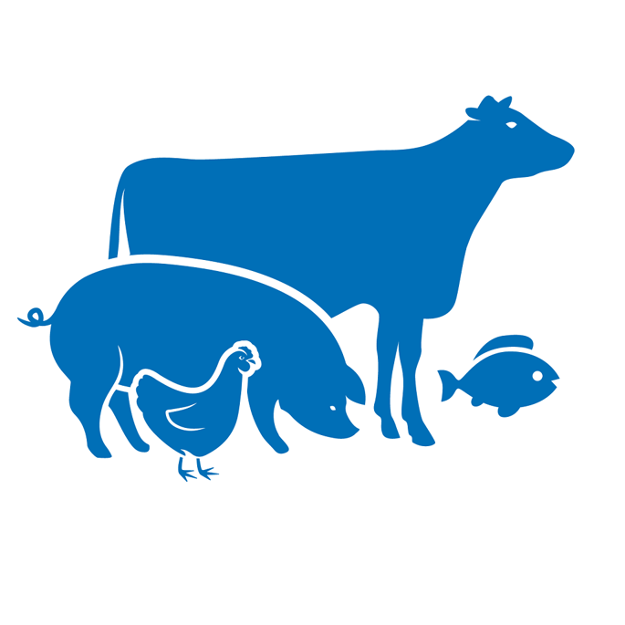 de-heus-myanmar-broiler-ruminants-swine-aqua-species-icon.png